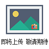 專(zhuān)業(yè)生產(chǎn) 鋼絲繩電纜滑車(chē)